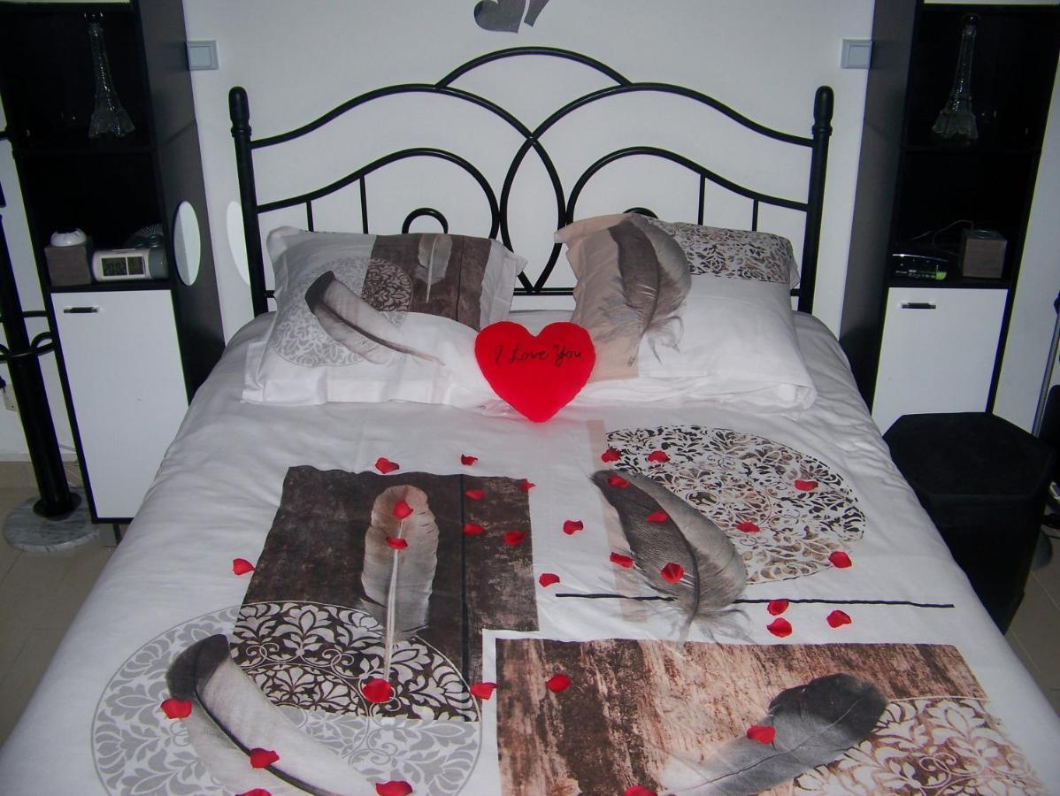 Charmant Studio Au Calme Tout Confort Dans Chateau Neo Gothique Proche Zenith Comet Orleans Parking Voiture Gratuit Wifi Haut Debit Rue Des Montees Luaran gambar